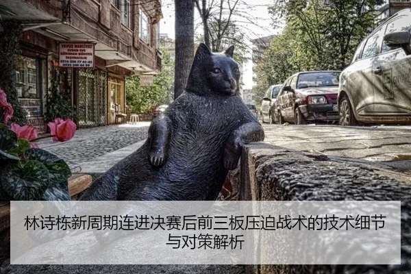 林诗栋新周期连进决赛后前三板压迫战术的技术细节与对策解析